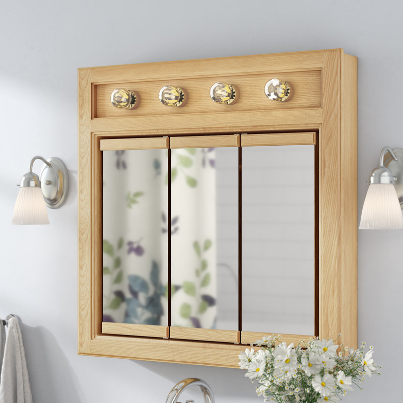 Winston Porter Searle Surface Mount Framed 3 Door Medicine with